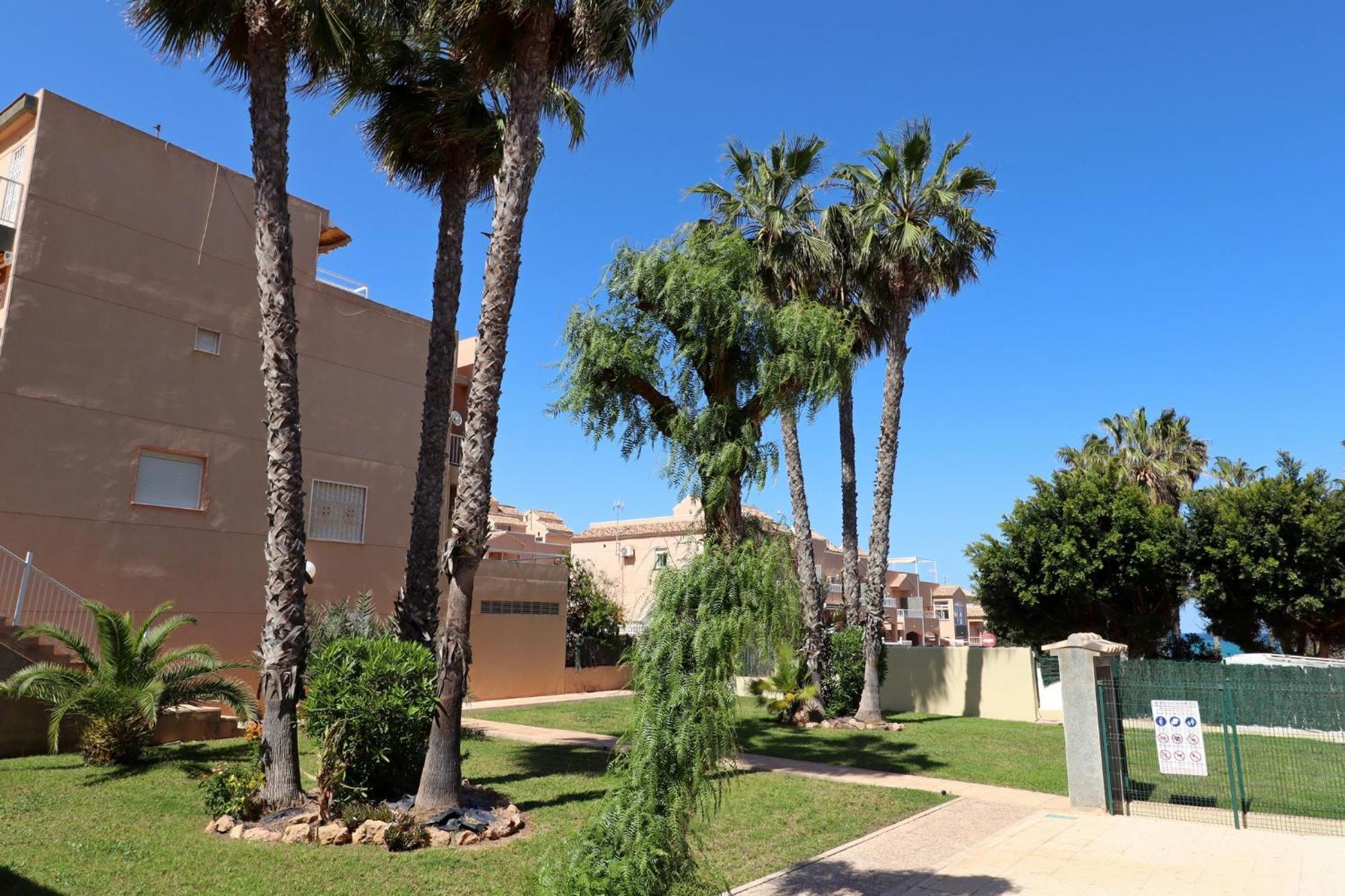 Apartamento Casa De Alba Cabo Cervera La Mata Torrevieja Exterior photo